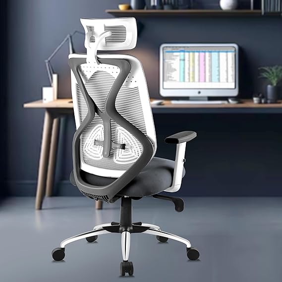 ASTRIDE Ergofit Ergonomic Office Chair for Home