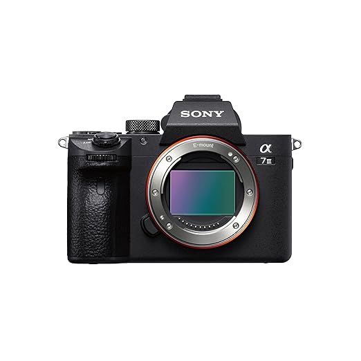 Sony Alpha ILCE-7M3 Full-Frame 24.2MP Mirrorless Digital SLR Camera