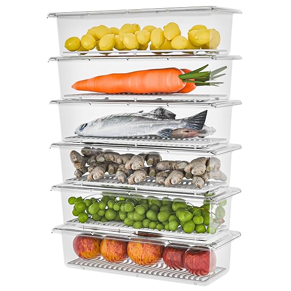 TEX-RO 6 Fridge Storage Boxes Fridge Organizer with Removable Drain Plate